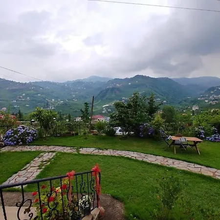 Bahceli Manzarali